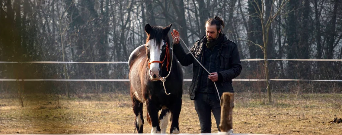 Recuperiamo il nostro benessere... a cavallo